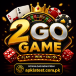 2GO Game