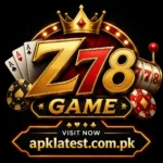 Z78 Game