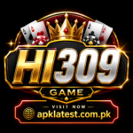 HI309 Game