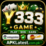 Y333 Game