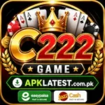C222 Game